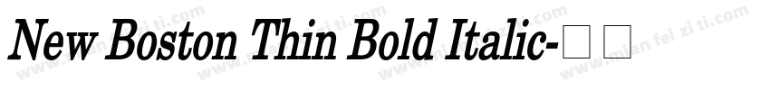 New Boston Thin Bold Italic字体转换